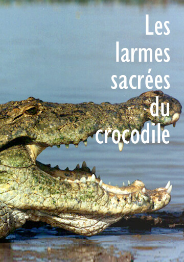 Affiche du film 'Les larmes sacrées du crocodile'